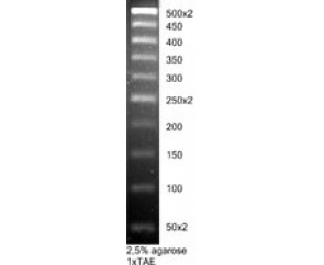 DNA molecular weight marker, M50bp