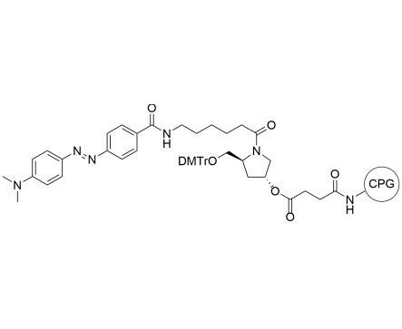 DABCYL CPG 