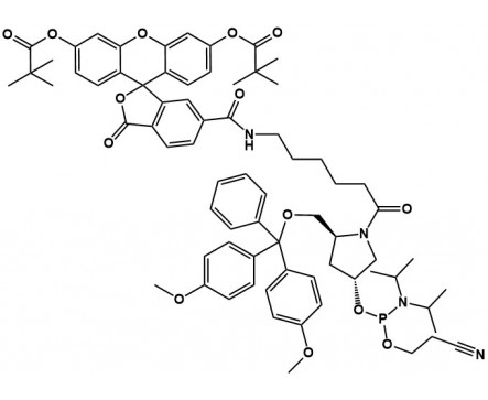 FAM Pro phosphoramidite 