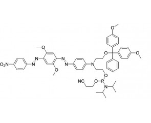 BHQ-1 phosphoramidite