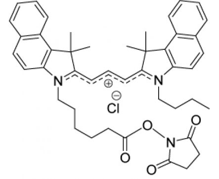 By-3.5 NHS (Cy3.5 analogue)