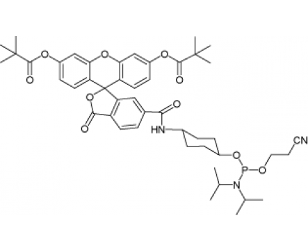 6-FAM phosphoramidite