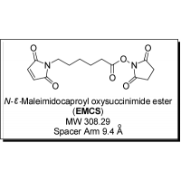 An amine-to-thiol crosslinker with medium-length aliphatic spacer arm